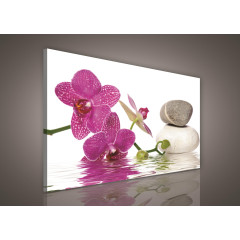 Kameny s orchidejí 257 O1
